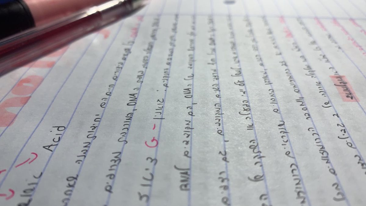 ארכיון בגרויות - אשדוד נט