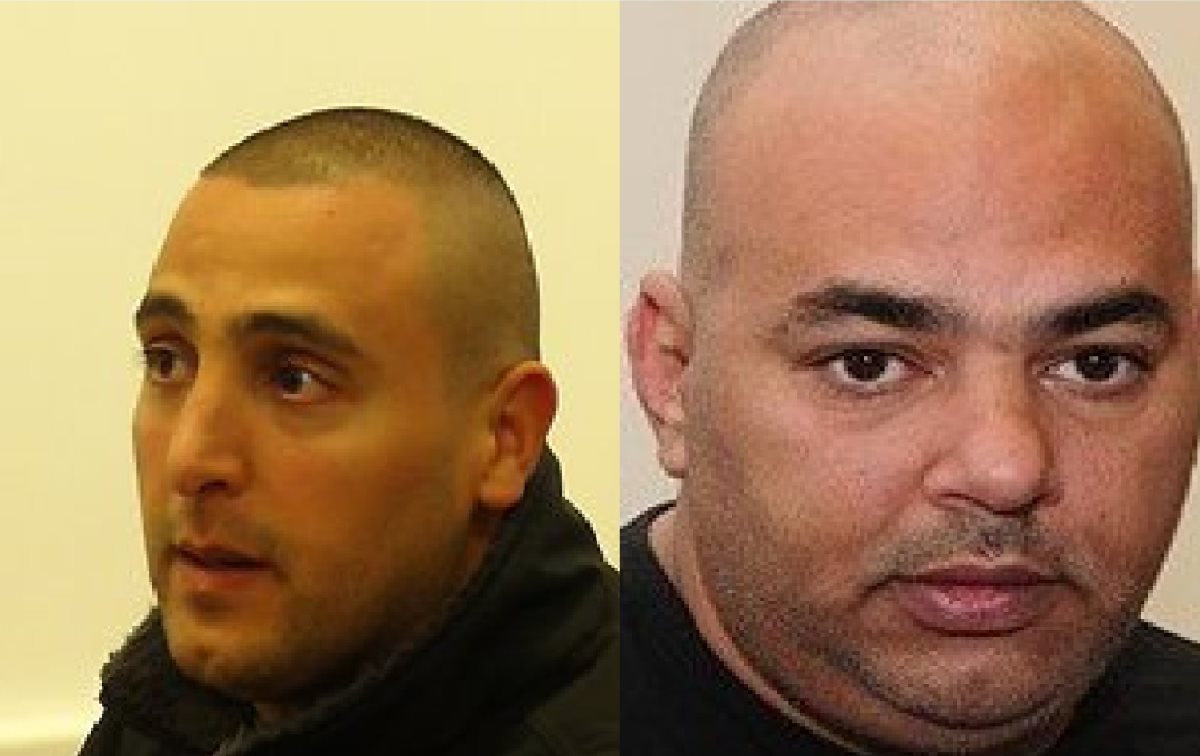 דומרני ובני שלמה, לא ינוחו עד שלא יחסלו זה את זה