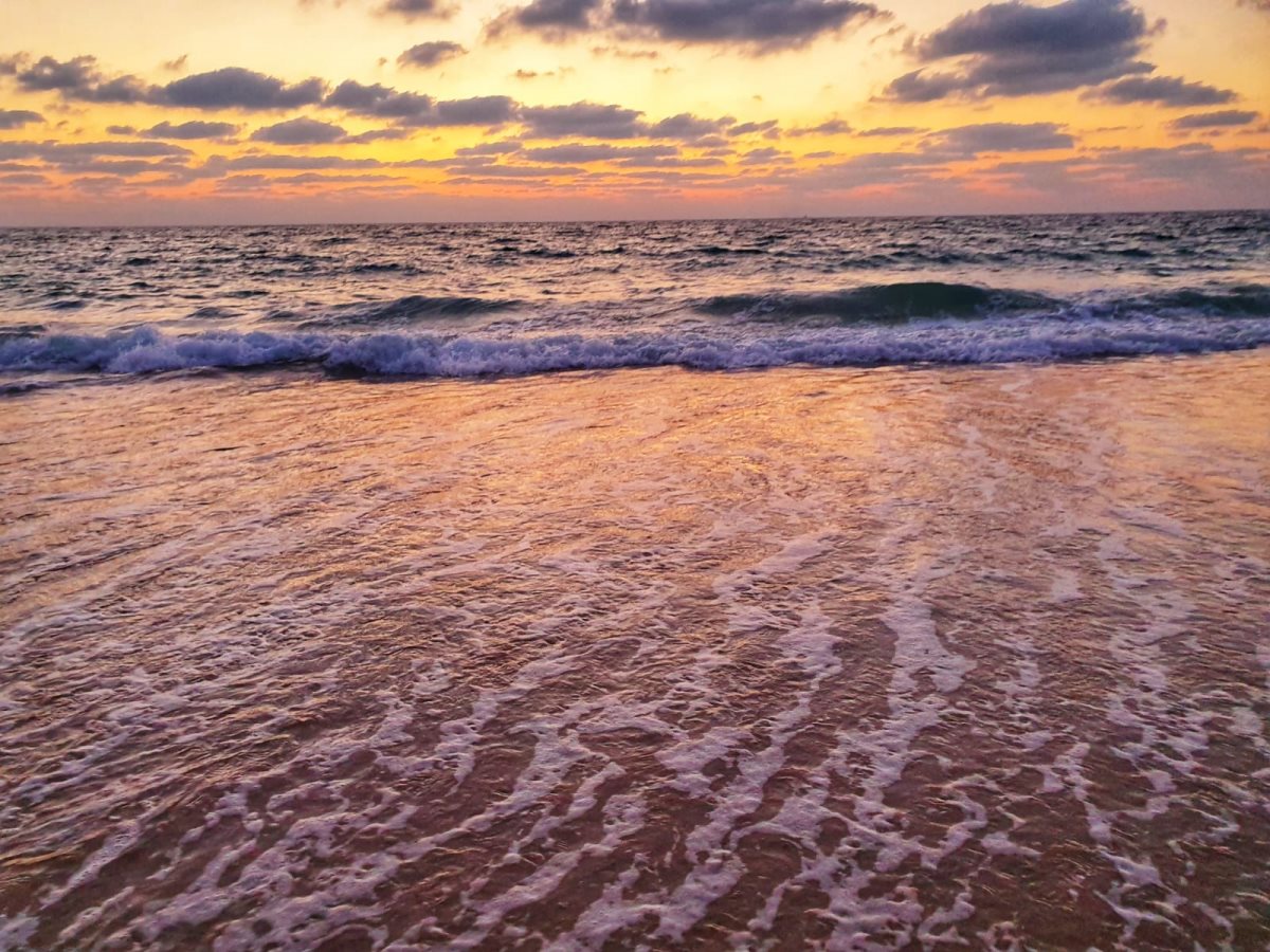 אשדוד - מה יהיה עם החוף? צילום אלדה נתנאל 