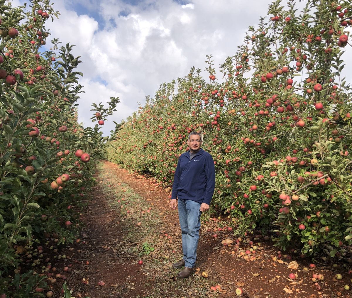 ירון בלחסן במטע פתוחים