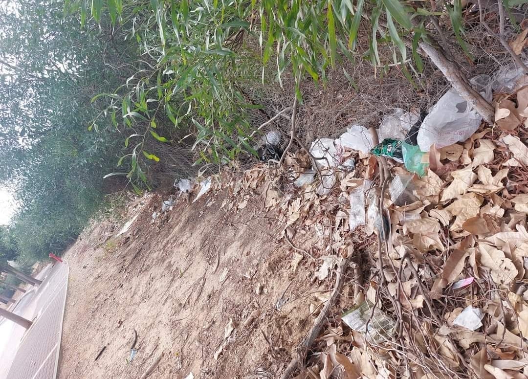 פייסבוק תושבים למען תושבים