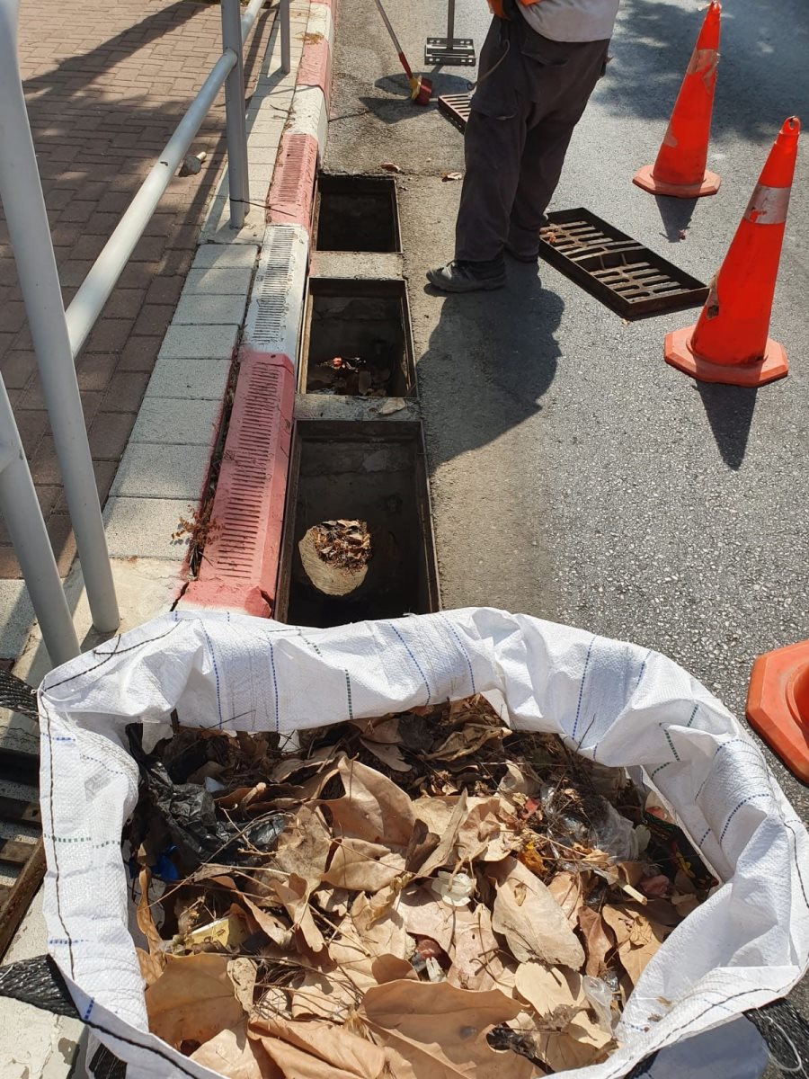 דובורת מועצה גדרה 