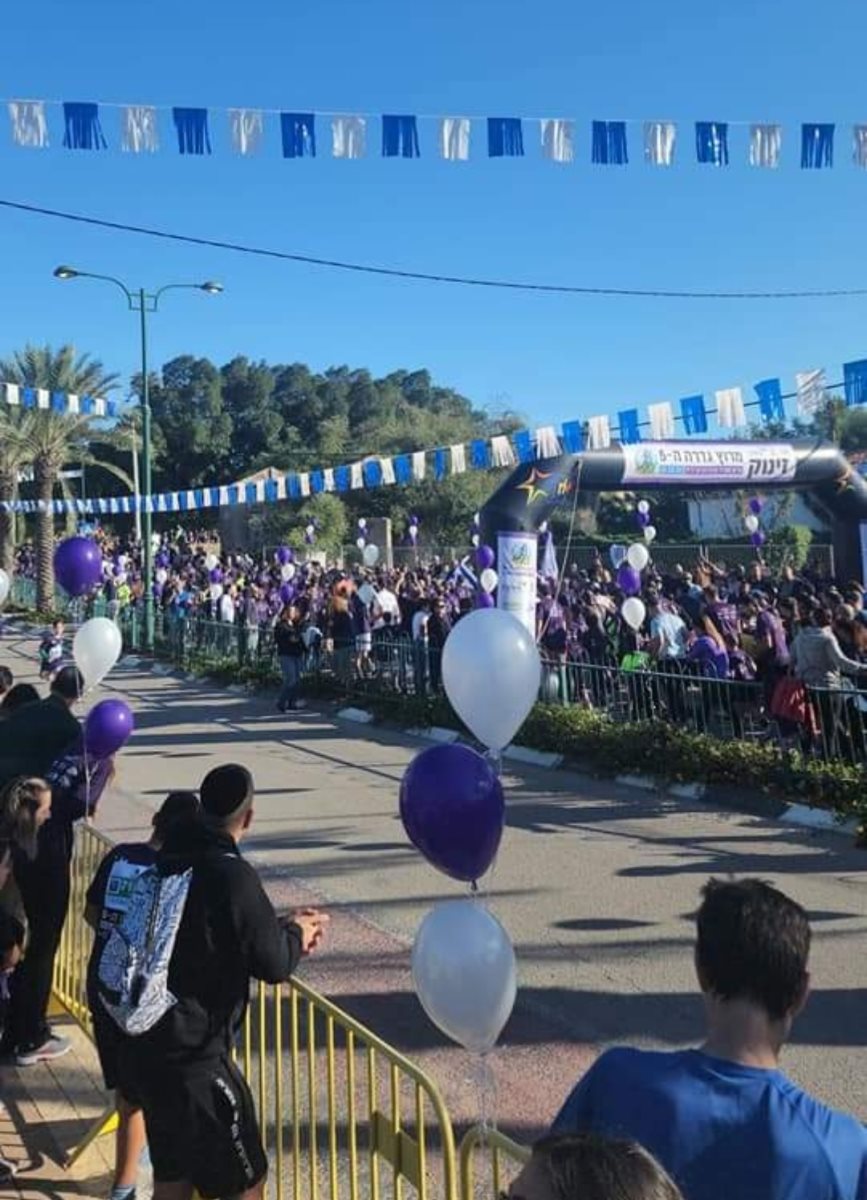 מועצה מקומית גדרה