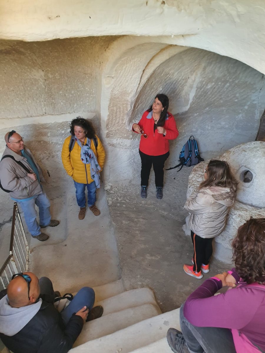 לימור צפריר