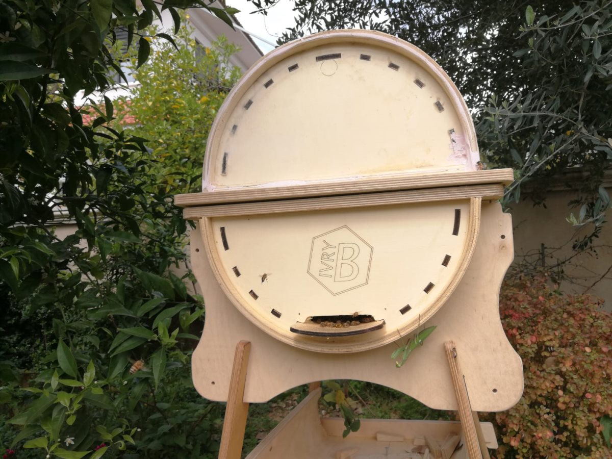 הכוורת החדשנית