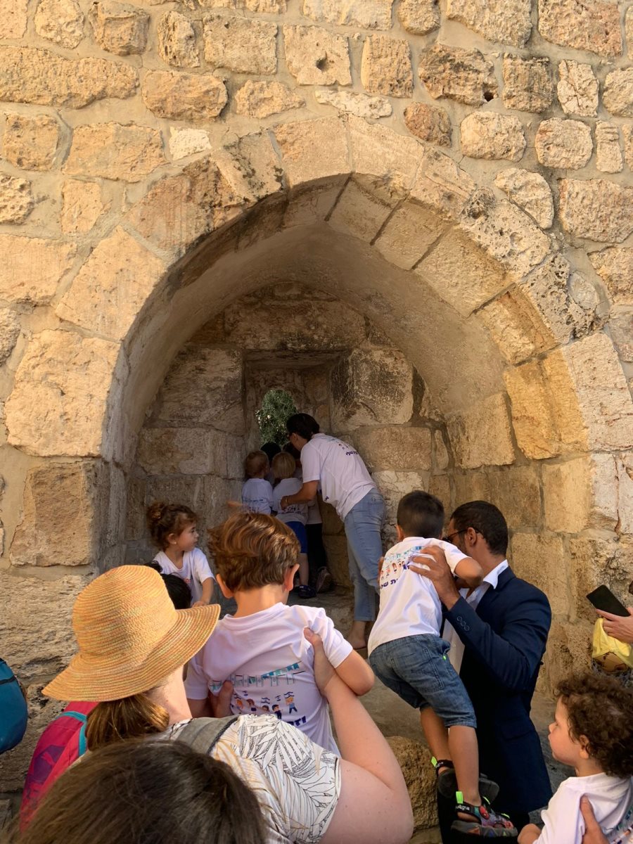 נטלי גורביץ