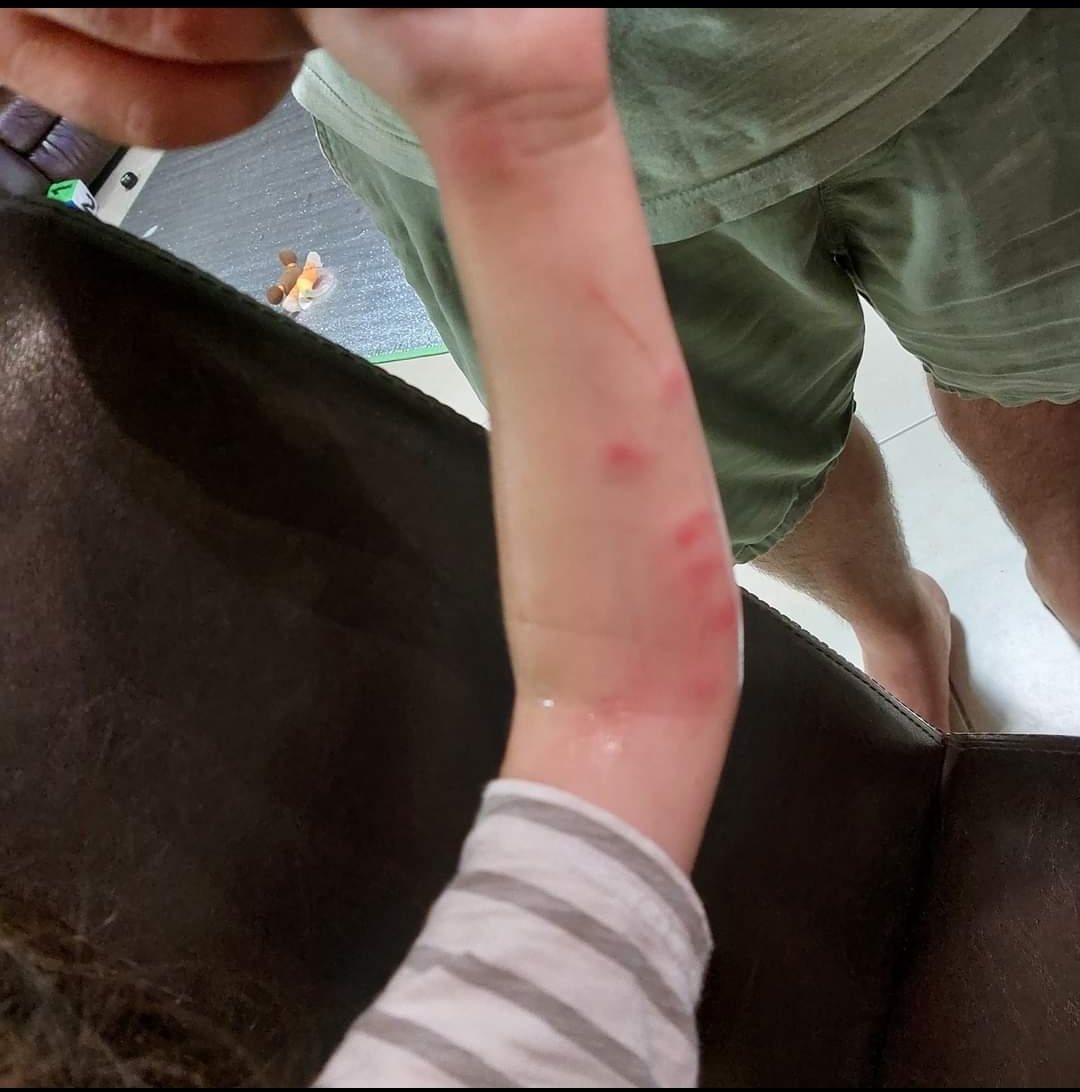 פייסבוק רוז יונה