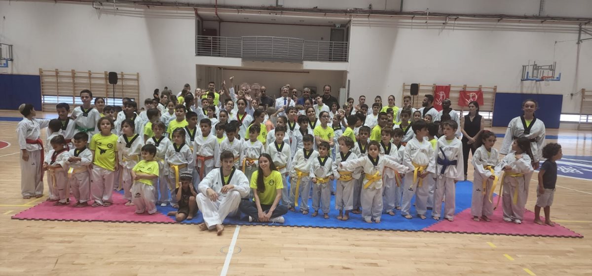 שרעבי אומנויות לחימה