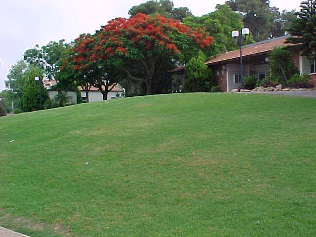 בית אפל גן יבנה 