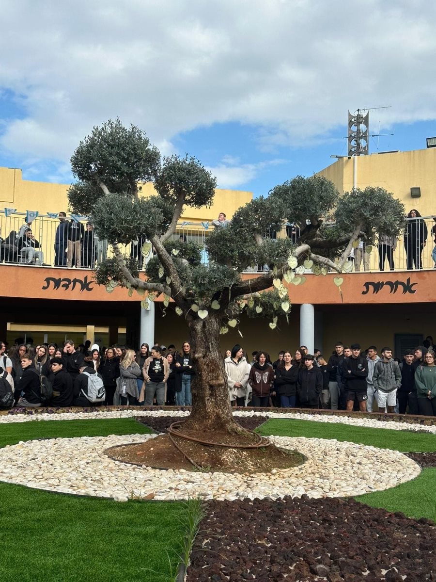 דרכא רמון מועצה אזורית גדרה