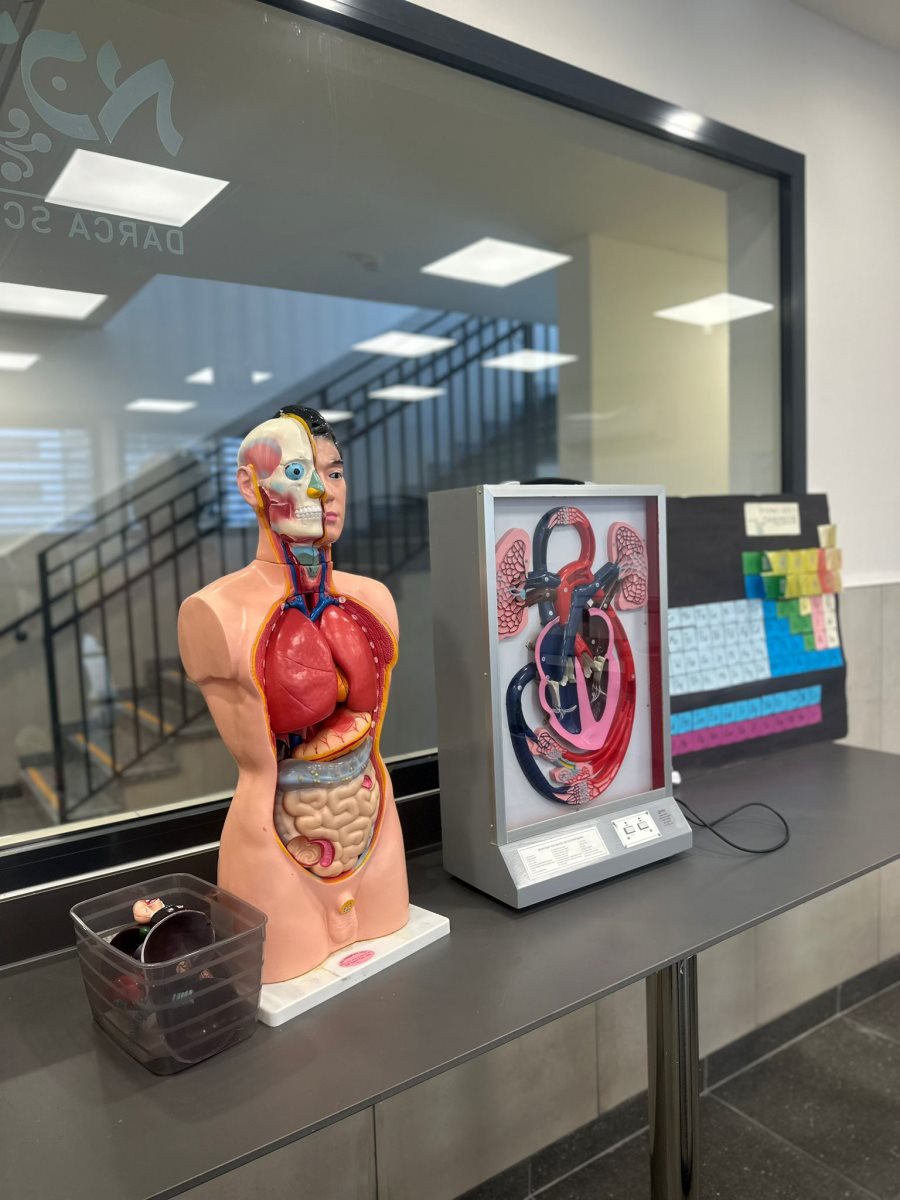 מועצה מקומית גדרה