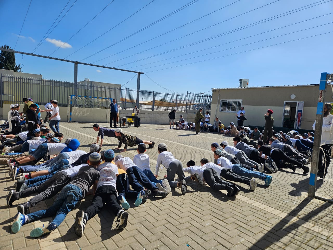 דותן בן דוד