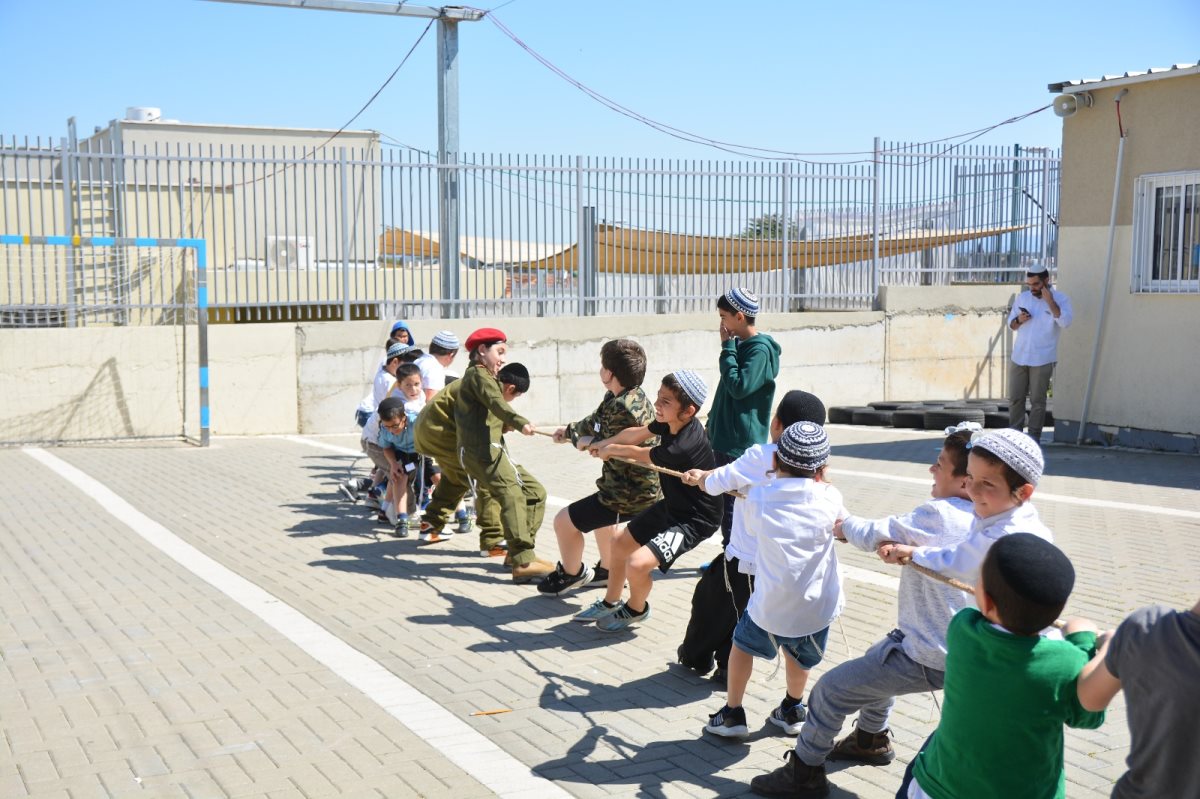 דותן בן דוד