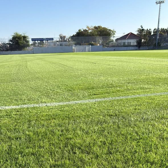 מועצה מקומית גדרה