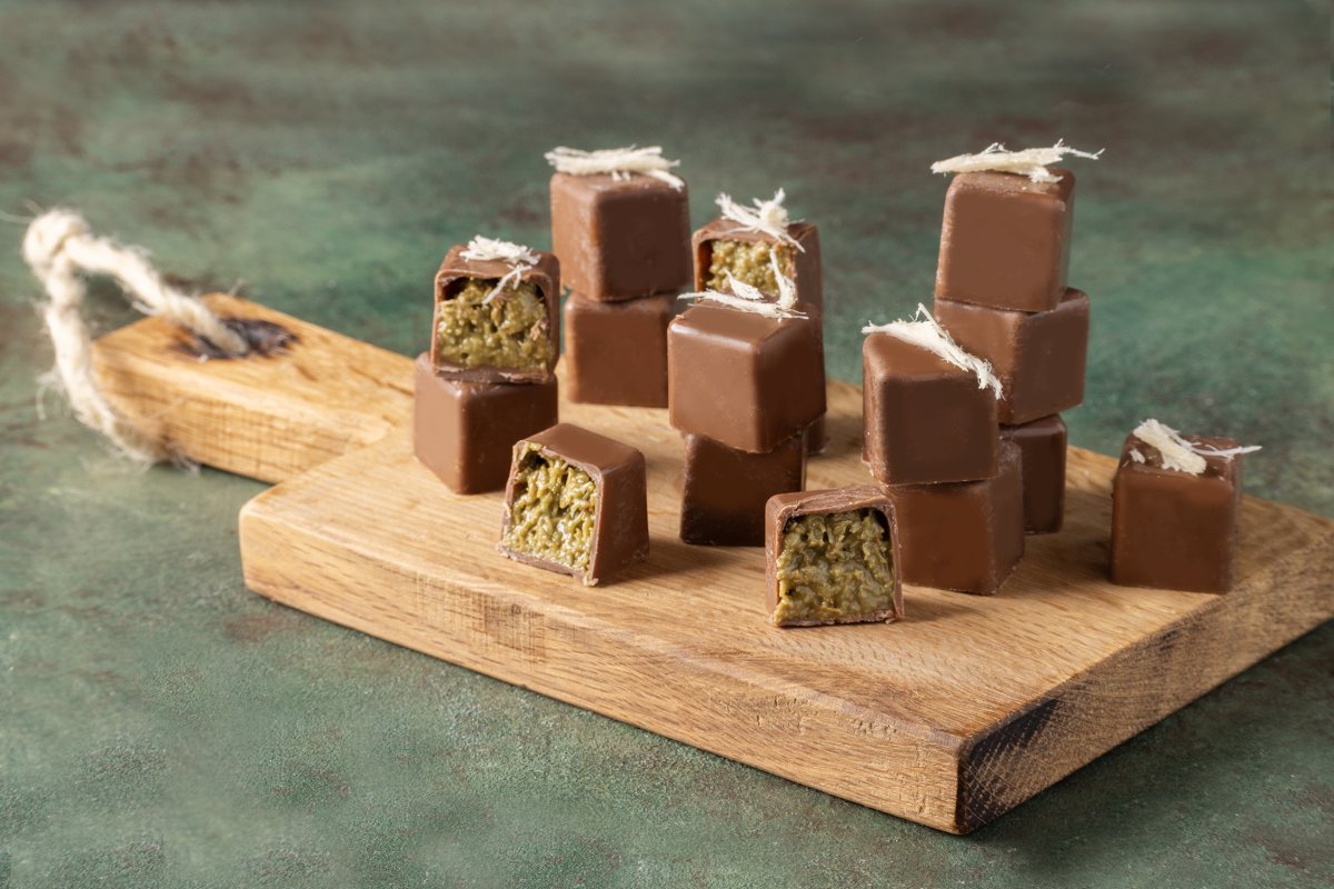 צילום: הדס ניצן)