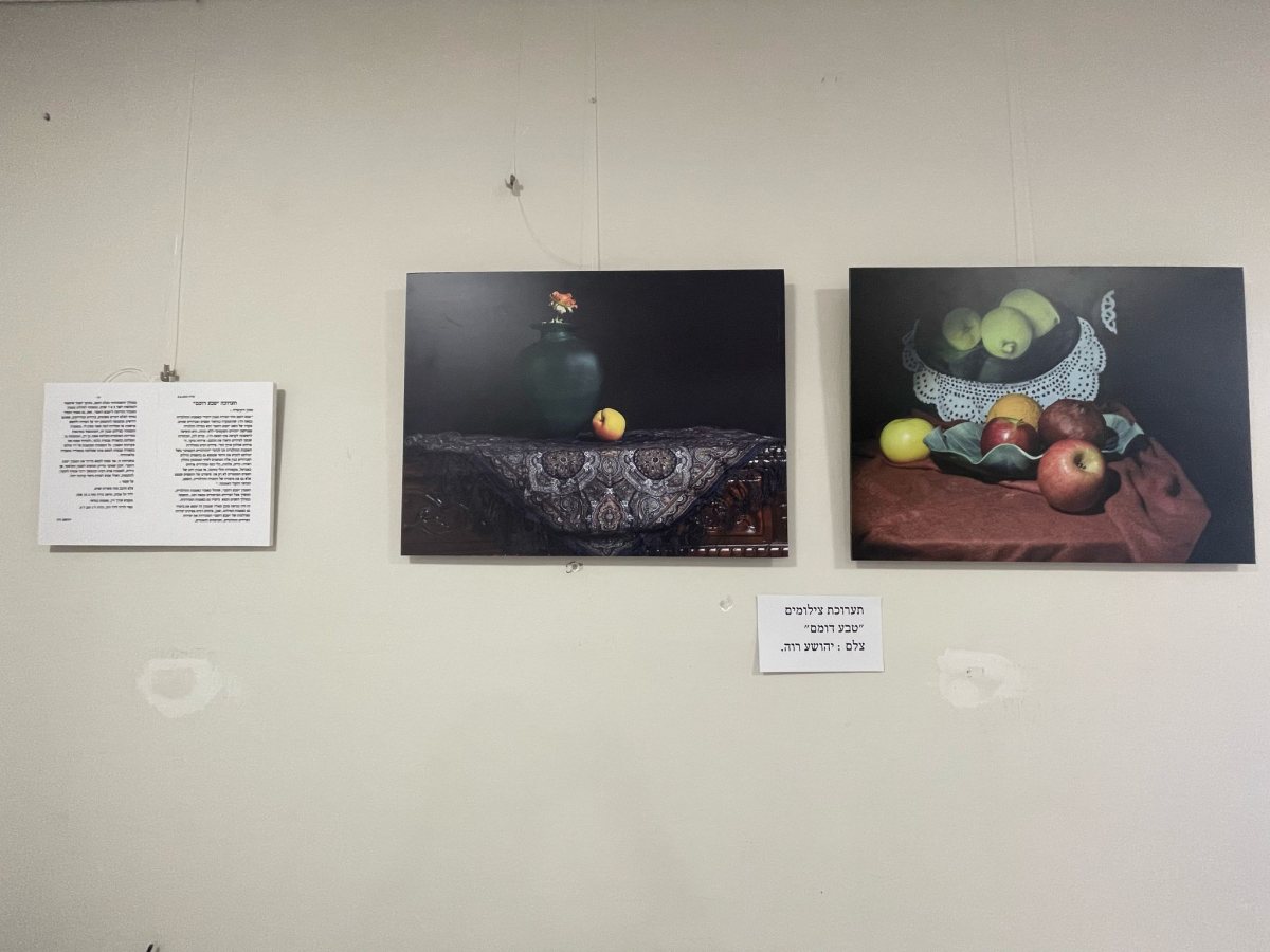 דוברות מועצה איזורית גדרה