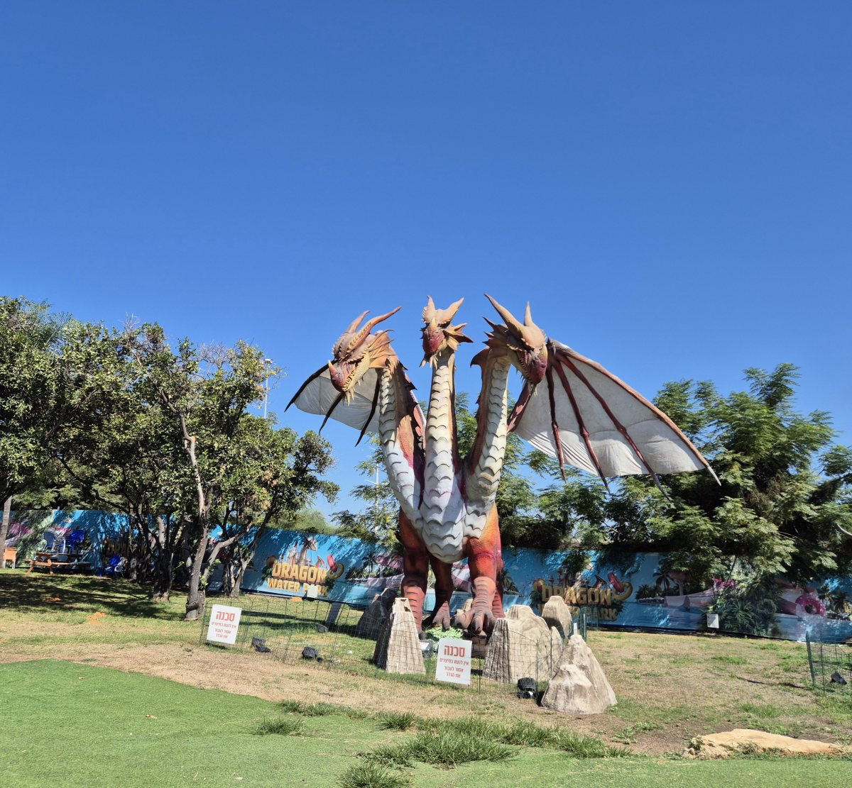 ממלכת הדרקונים והמים