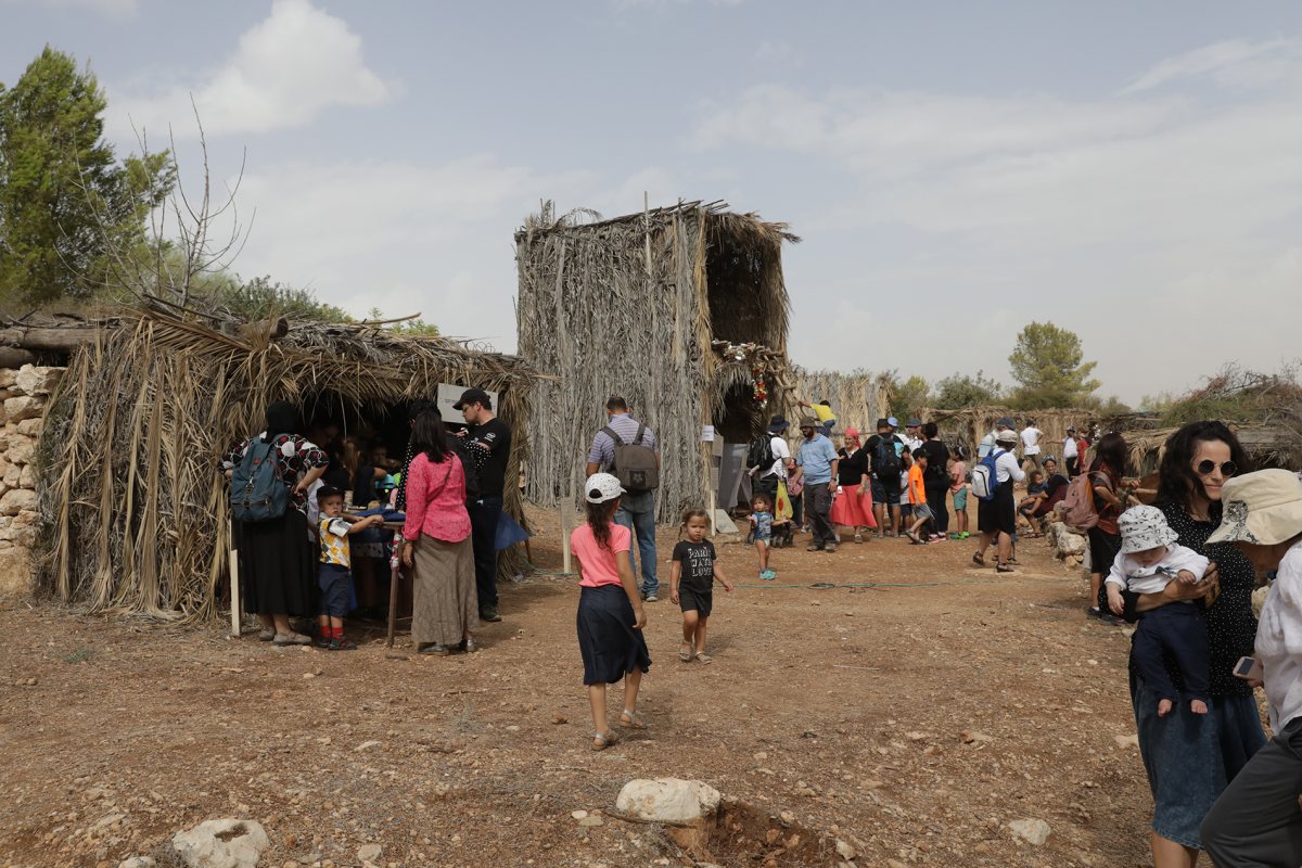 צילום אלדד מאסטרו