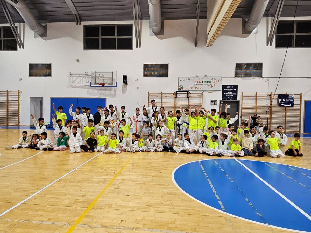 מועצה מקומית גדרה