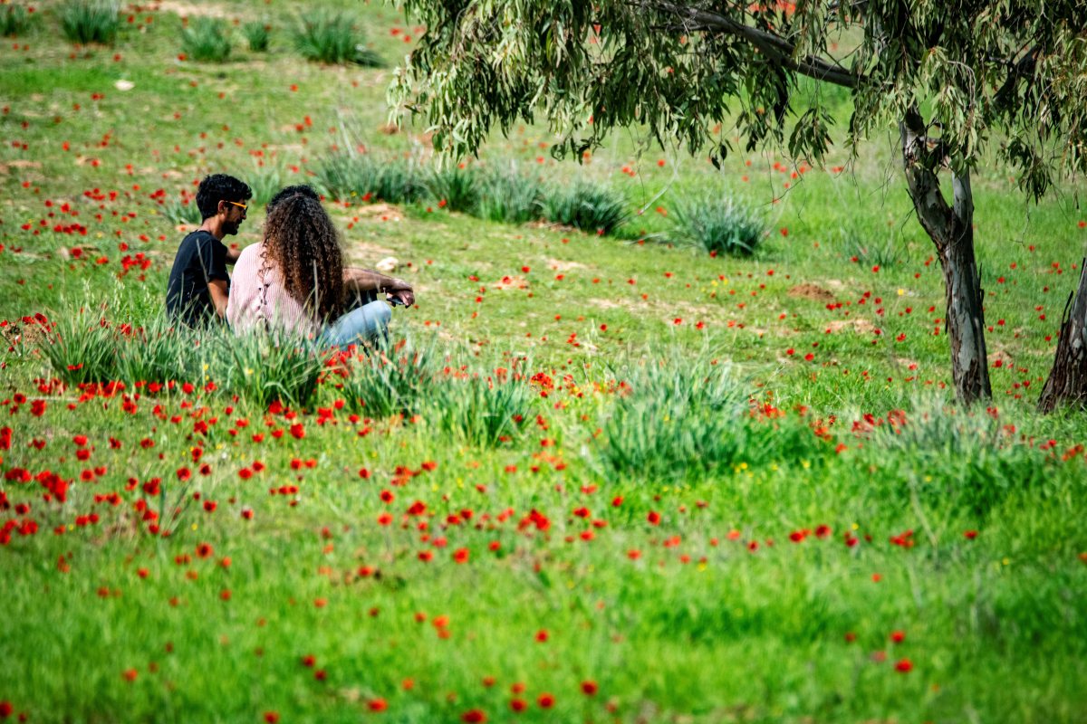 דרום אדום צילום אייל בריברם