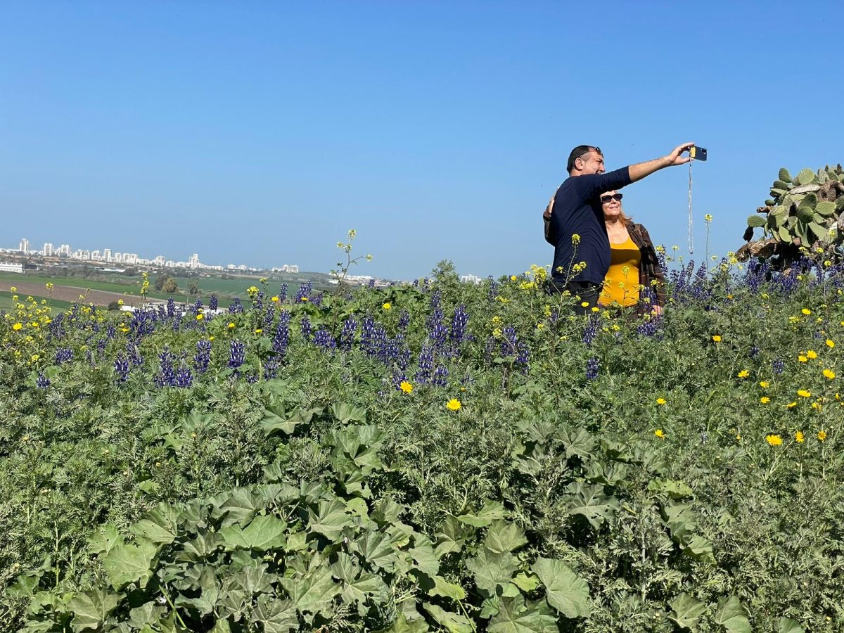 מועצה מקומית גדרה