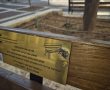 ונדליזם חסר רחמים בגדרה: ספסל הזיכרון לשני רוקסה ז"ל הושחת 