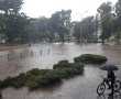 מתי יחל הגשם הלילה באשדוד, ואיך נערכים בעיריה בכדי למנוע את ההצפות?