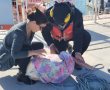 שקנאית שנמצאה במצוקה בלב ים  – הושבה היום לטבע