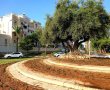הכיכרות חזרו לפרוח  