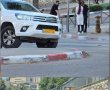 הכלבים האימתניים הפחידו את תושבי השכונה החרדית