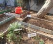 זורעים עתיד ירוק: חולון מצטרפת שוב לפרויקט זריעת פרחי הבר הגדול בישראל