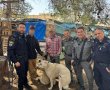 ניסה למכור ברשת - ונחשף: אותרו כלבי רועים בשווי עשרות אלפי שקלים | צפו