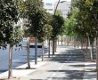 מגדל של 27 קומות בלב רגר: הוארך תוקפה של תוכנית "בית הפועלים" השאפתנית
