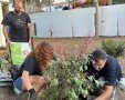 צילום: חברת החשמל