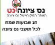 מגזין חג שבועות : אטרקציות ברחבי הארץ, מתכונים, תיקון שבועות ואירועים בחג. 