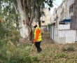 לקראת פסח: ראו את המהפך שהתחולל בגינות האשדודיות