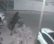 בנווה נוי כבר אין קווים אדומים: גנבו גם את אופנוע וגם את כלבת המשפחה