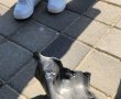 פיצוץ אדיר בנס ציונה גרם לבהלה שרידי רקטות התפזרו בעיר 
