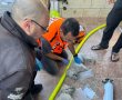 כזה עוד לא ראיתם: כלבים מונשמים לאחר שריפה במבשרת ציון  
