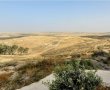 בניגוד לעמדת אנשי המקצוע והרשויות המקומיות - בממשלה מתכוונים להקים עיר חדשה בנגב